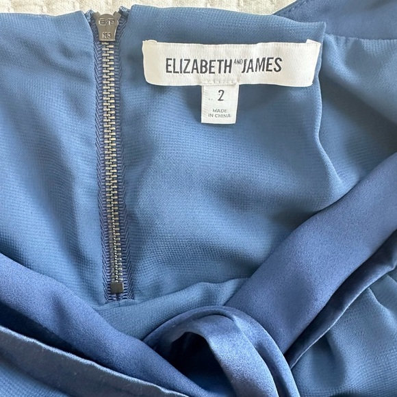 Elizabeth and James Acacia Mini Backless Dress in Royal Blue - Picture 10 of 10